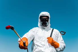 Emergency Pest Control Services in Vandalia, OH